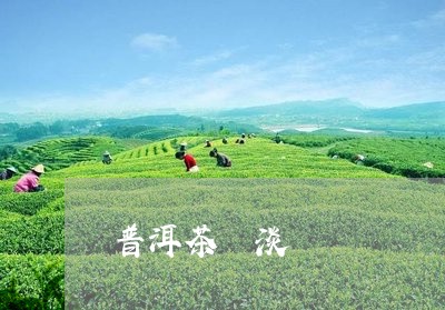 普洱茶 淡/2023090517282